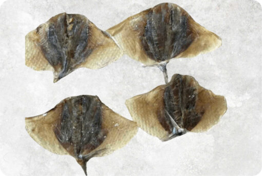 1-dried-moon-fish-supplier-exporter-vietnam.jpg Dried Moon Fish