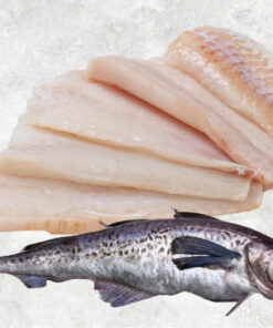 frozen-alaska-pollock