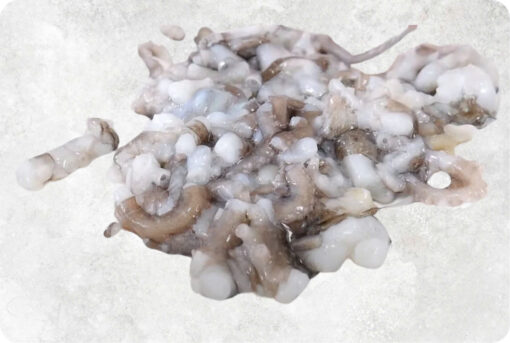 Frozen Small Cut Baby Octopus