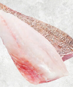 frozen-black-grouper-and-red-grouper-fillet