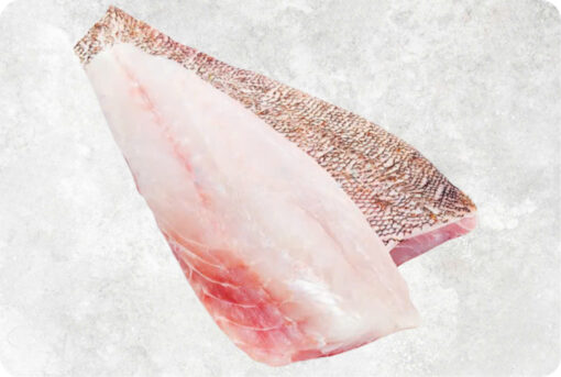 Frozen Black Grouper And Red Grouper Fillet
