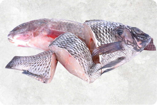 1-frozen-black-red-tilapia-steak-supplier-exporter-vietnam.jpg Frozen Black And Red Tilapia Steak