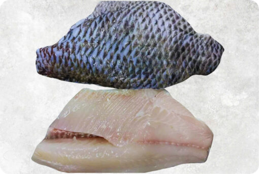 Frozen Black Tilapia Fillet Skin On