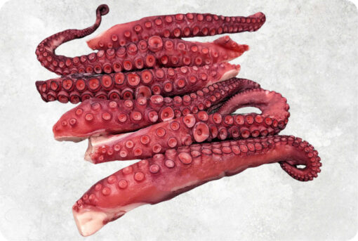 1-frozen-boiled-octopus-tentacles-supplier-exporter-vietnam.jpg Frozen Cooked Giant Octopus Tentacles