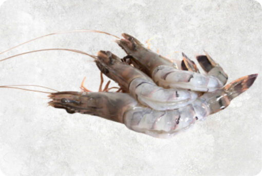 1-frozen-butterfly-bikini-ezp-black-tiger-supplier-export-vietnam.jpg Frozen Raw Hoso Butterfly Black Tiger Shrimp
