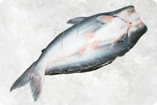1-frozen-butterfly-pangasius-swai-fish-supplier-exporter-vietnam.jpg Frozen Butterfly Pangasius (Swai Fish)