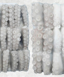 frozen-cut-poulp-squid-block-frozen-mada-cut-block