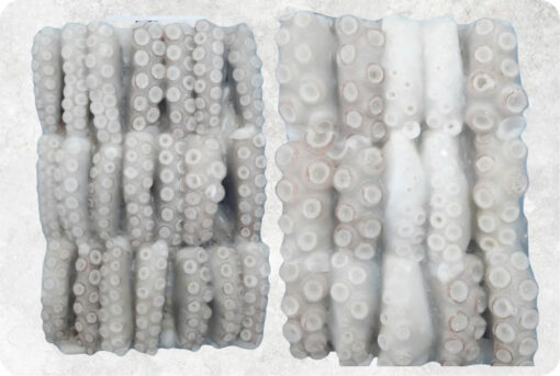 Frozen Cut Poulp Squid Block (Frozen Mada Cut Block)