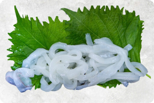 1-frozen-cuttlefish-somen-supplier-exporter-vietnam.jpg Frozen Cuttlefish Somen