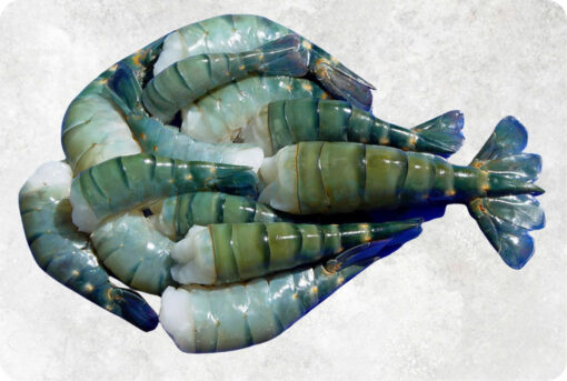 1-frozen-hlso-scampi-shrimp-supplier-exporter-vietnam.jpg Frozen Raw Hlso, Hlso Ezp And Butterfly Scampi Shrimp