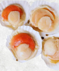 frozen-hokkaido-scallop-half-shell-roe-on-and-roe-off