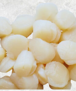 frozen-hokkaido-scallop-meat