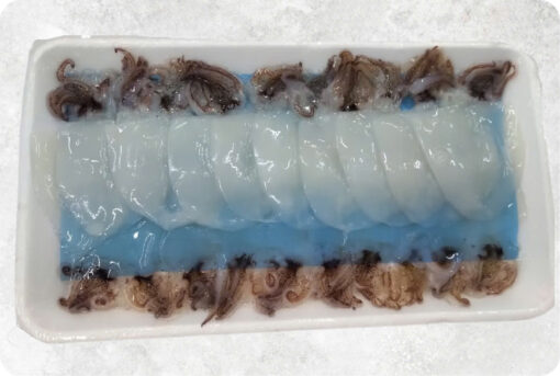 Frozen Loligo Squid Sugata Sushi