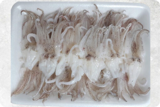 1-frozen-loligo-squid-tentacles-sushi-supplier-exporter-vietnam.jpg Frozen Loligo Squid Tentacles Sushi