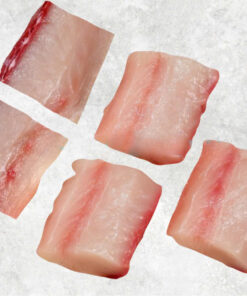 frozen-mahi-mahi-cube