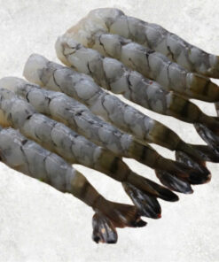 frozen-nobashi-black-tiger-shrimp