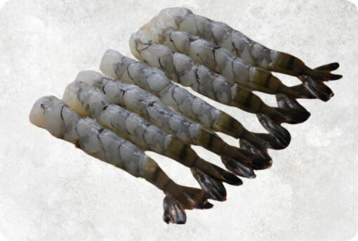 1-frozen-nobashi-black-tiger-shrimp-supplier-exporter-vietnam.jpg Frozen Nobashi Black Tiger Shrimp