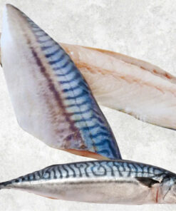frozen-norway-and-japanese-mackerel