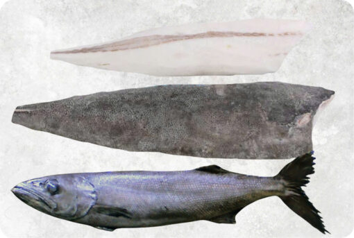 1-frozen-oilfish-fillet-supplier-exporter-vietnam.jpg Frozen Oil Fish Fillet Skin On And Skinless