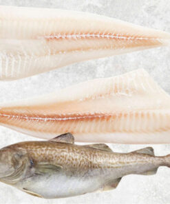frozen-atlantic-and-pacific-cod