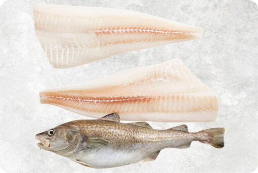 1-frozen-pacific-cod-supplier-exporter-vietnam.jpg Frozen Atlantic And Pacific Cod