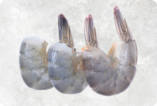 Frozen Raw HLSO Vannamei Shrimp