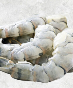 frozen-raw-pdto-black-tiger-shrimp