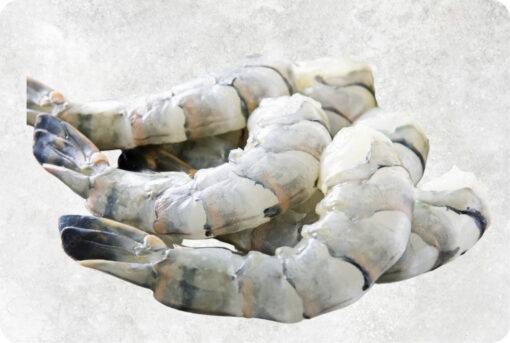 1-frozen-raw-pdto-black-tiger-shrimp-supplier-exporter-vietnam.jpg Frozen Raw Pdto Black Tiger Shrimp