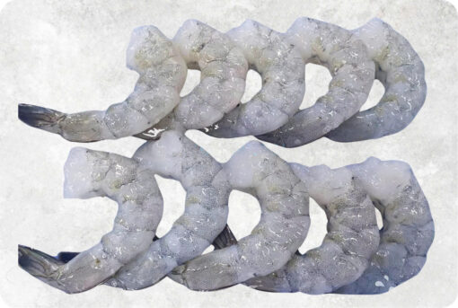 1-frozen-raw-pdto-vannamei-shrimp-supplier-exporter-vietnam.jpg Frozen Raw PDTO Vannamei Shrimp