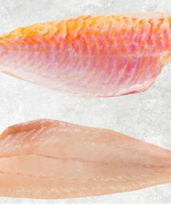 frozen-red-mullet-fillet