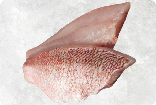1-frozen-red-snapper-fillet-supplier-exporter-vietnam.jpg Frozen Red Snapper Fillet