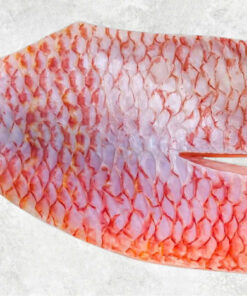 frozen-red-tilapia-fillet-skin-on