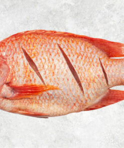 frozen-red-tilapia-whole-round-and-whole-cleaned-wr-wgs-wggs-wggss