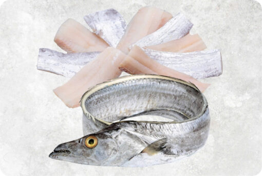 1-frozen-ribbon-fish-fillet-supplier-exporter-vietnam.jpg Frozen Ribbon Fish Fillet