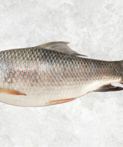 frozen-rohu-whole-clean