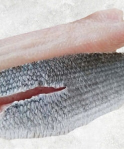 frozen-snakehead-fish-fillet