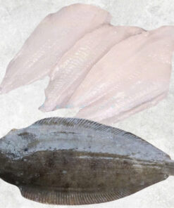 frozen-sole-fish