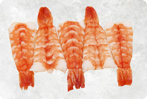 1-frozen-sushi-ebi-black-tiger-shrimp-supplier-exporter-vietnam.jpg Frozen Sushi Ebi Black Tiger Shrimp