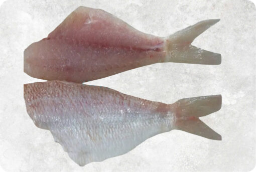 1-frozen-threadfin-bream-fillet-supplier-exporter-vietnam.jpg Frozen Threadfin Bream Fillet