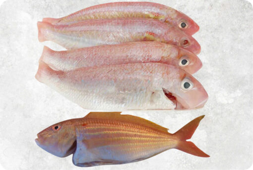 1-frozen-threadfin-bream-whole-clean-supplier-exporter-vietnam.jpg Frozen Threadfin Bream Whole Clean (WGGS)