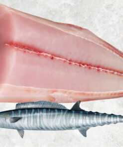 frozen-wahoo-fillet-skin-on