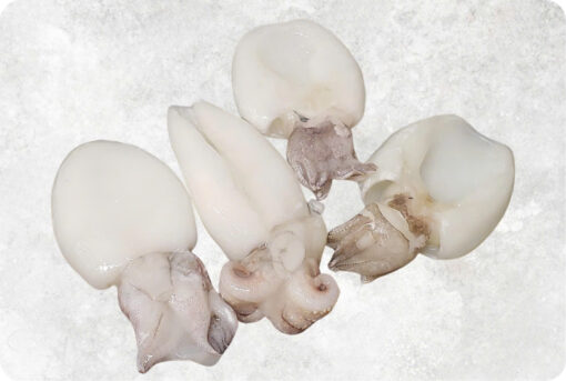 1-frozen-whole-clean-cuttlefish-supplier-exporter-vietnam-1.jpg Frozen Whole Clean Baby Cuttlefish