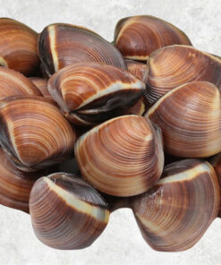 frozen-cooked-whole-shell-brown-clam