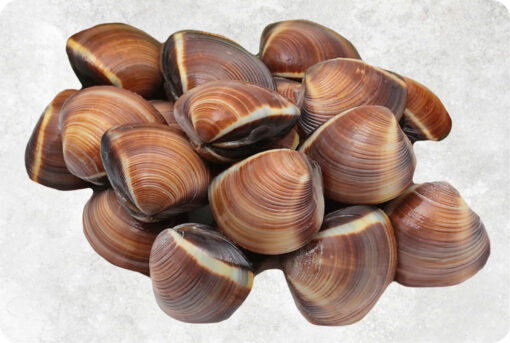 1-frozen-whole-shell-brown-clam-supplier-exporter-vietnam.jpg Frozen Cooked Whole Shell Brown Clam