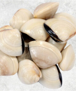 frozen-cooked-whole-shell-white-clam