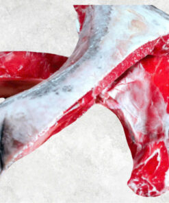 frozen-yellowfin-tuna-kama-co-non-co-treated
