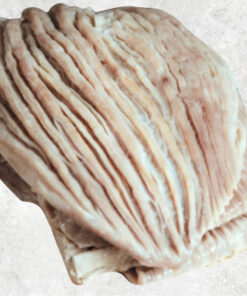 frozen-yellowfin-tuna-stomach
