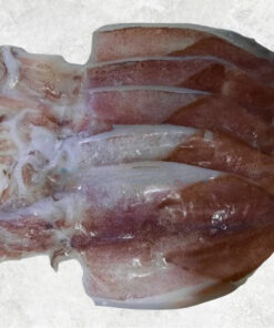half-dried-loligo-squid