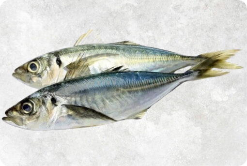 1-round-layang-yellow-tail-scad-supplier-exporter-vietnam-1.jpg Frozen Round And Yellow Tail And Layang Scad Whole Round