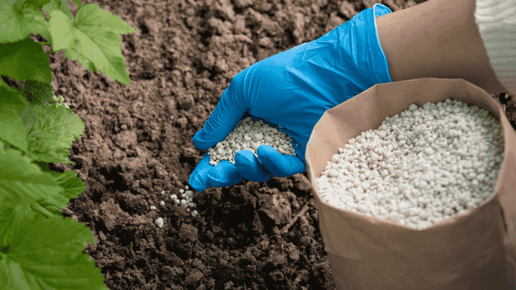Agricultural Fertilizers wholesale category